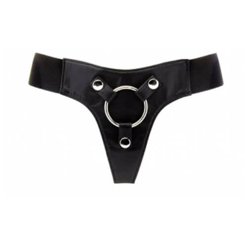 n10503-elastic_harness-1_1