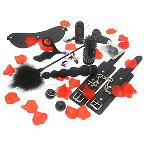 n9051-toy_joy_love_toy_starter_kit-2