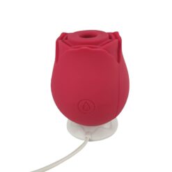 clitoral suction device
